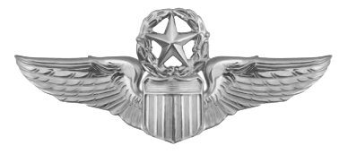 Master Pilot Wings